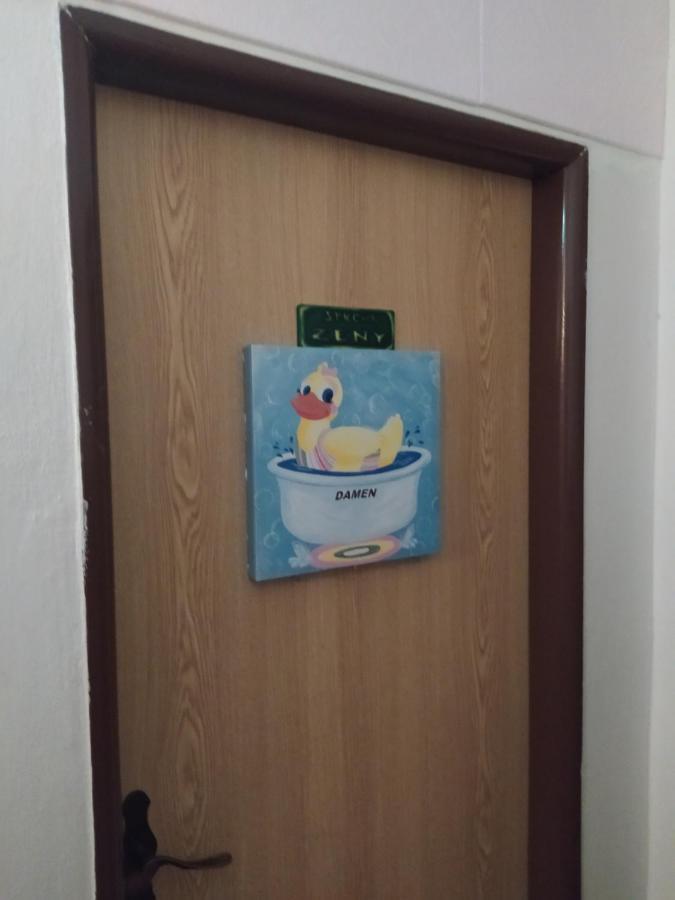 Drevenka Hotel Provodin Kültér fotó